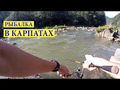 ловить форель на горных реках видео ловить форель на горных реках видео