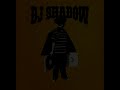 DJ shadow Organ Donor