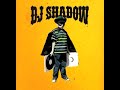 DJ shadow Organ Donor