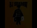 DJ shadow Organ Donor