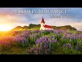 Blessed Assurance 🙏🏼 Beautiful Hymns of Faith 🎵 Cello and Piano