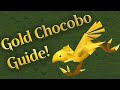 FFVII: Getting the Gold Chocobo via Breeding & Racing