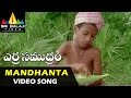 Erra Samudram Video Songs | Mandhanta Pothunte Video Song | Narayana Murthy | Sri Balaji Video