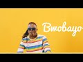 Bwobayo - Radio & Weasel ( Official Video )