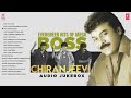 Evergreen Hits Of Mega Boss Chiranjeevi Jukebox | #happybirthdaychiranjeevi | Telugu Hits