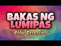 Eddie Peregrina - BAKAS NG LUMIPAS [Karaoke Version]