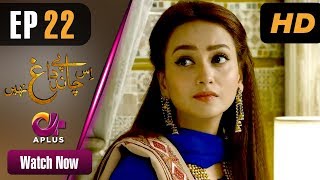 Drama Is Chand Pe Dagh Nahin - Episode 22 Aplus ᴴᴰ Dramas Zarnish Khan, Firdous Jamal Drama Is Chand Pe Dagh Nahin - Episode 22 Aplus ᴴᴰ Dramas Zarnish Khan, Firdous Jamal