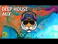 Peak Focus For Complex Tasks - Deep House Tiger Mix + Isochronic Tones