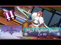 PSO2 NGS: NGS V2 Lv 80 Fighter Guide