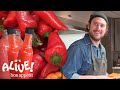 Download Brad Makes Fermented Hot Sauce | It's Alive | Bon Appétit mp4 3gp mp3 videos - waplic