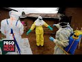 Despite outbreak, Ebola treatment and vaccine represent 'resounding scientific success'