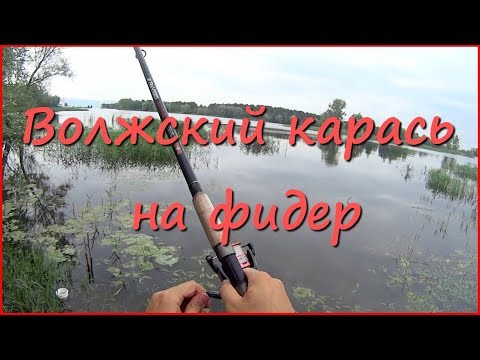 рыбалка на волге на поплавочную удочку рыбалка на волге на поплавочную удочку