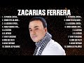 Zacarias Ferrera ~ Anos 70's, 80's ~ Grandes Sucessos ~ Flashback Romantico Músicas