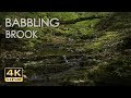 4K HDR Babbling Brook - Trickling Forest Creek - Water Sounds - Relaxing Nature Video