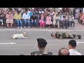 Army parade video Jammu #army dog 🐕#videos #army #armylover