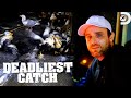 The Saga Gets Attacked by Seabirds | Deadliest Catch | Discovery