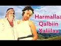 Harmallaa Qalbiin Xaliilaa - Abdusalaam Haajii | Wallee Afaan Oromoo @ragaamedia