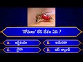 Interesting Questions In Telugu|Episode-2|By Rk thoughts|Unknown Facts|Genera Knowledge|Telugu Quiz