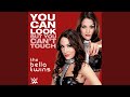 WWE: You Can Look (But You Can't Touch) (The Bella Twins)