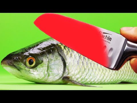 EXPERIMENT Glowing 1000 degree KNIFE VS FISH Herring