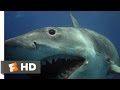 Jaws: The Revenge (4/8) Movie CLIP - The Shark Hunts Michael (1987) HD