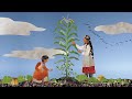 Three Sisters: Companion Planting of North American Indigenous Peoples