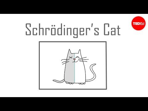 Schrödinger s cat A thought experiment in quantum mechanics Chad Orzel