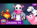 Download Farm Animals, Wild Animals & More ChuChu TV Surprise Eggs Learning Videos - Live Stream mp4 3gp mp3 videos - waplic