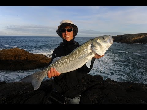 Comme sortir le poisson dans la pêche 1.6