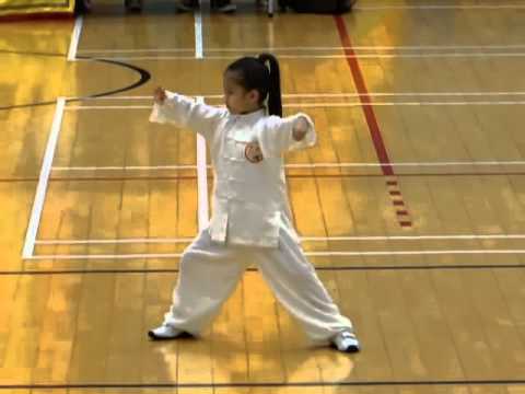 Routine I Of The Chen-Style New Frame