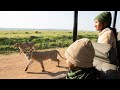 We Can't Believe This Happened On Our Kenya Safari!