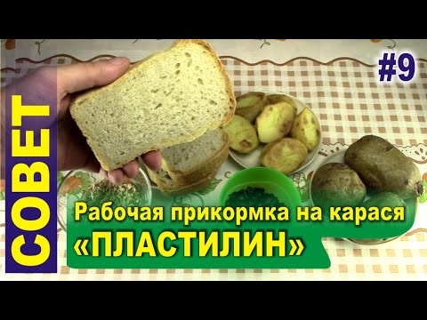 как готовить приманки на карася как готовить приманки на карася