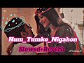 Hum Tumko Nigahon Mai ( Slowed + Reverbed ) || Lofi Vibes || Sajid, Wazid, Anu Malik