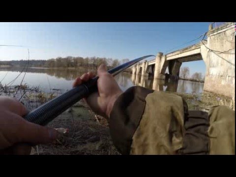 как ловить карася весной на кивок как ловить карася весной на кивок