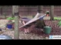 AFV Videos ► Funny Home Videos Compilation 2015 #2 ► F5 Media