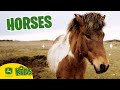 We Love Horses On The Farm! 🐎 | John Deere Kids