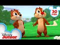 Chip 'N Dale's Nutty Tales 30 Minute Compilation | Mickey Mouse, Minnie Mouse & MORE | @disneyjunior