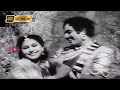 வாராய் நீ வாராய் போகுமிடம் வெகு தூரமில்லை பாடல் |Vaarai Nee Vaarai song |Thiruchi Loganathan & Jikki