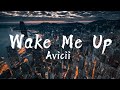 Avicii - Wake Me Up (Lyrics)