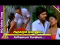 Maruthu Pandi Movie Songs | Adhamum Yevalum Video Song | Ramki | Nirosha | Ilayaraja |Pyramid Music