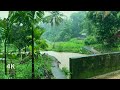 Walk in Heavy Rain through Countryside Roads of Kerala | A Quiet & Beautiful Village | 4k ASMR