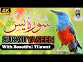 🔴Surah Yasin ( Yaseen ) Full By Hafiz Nisar Ahmed Ep 01 Yasin Dua | Beautiful Recitation | tilawat 🕋