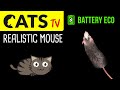 CATS TV - Realistic Mouse 🔋 Battery ECO - 3 HOURS - 60fps (Game for cats to watch)