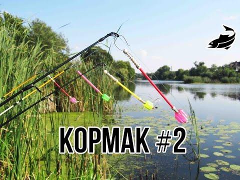 ловля на киллера ловля на киллера