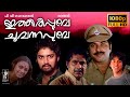 Ithiri Poove Chuvannapoove Full HD Malayalam Movie | Mammootty, Shobhana, Madhu, Rahman | Bharathan