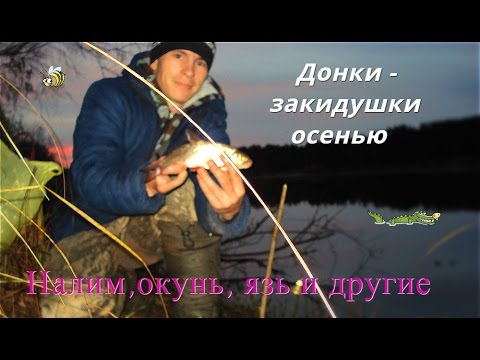 Более 25 лучших идей на тему «Упаковка подарка» на Pinterest Библейские картинки. Часть 12. Аттракцион невиданной