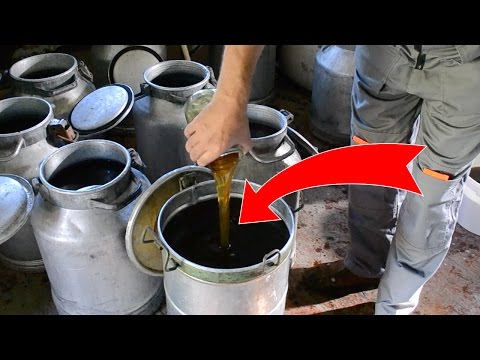 Как сделать сахарный сироп пчелам Как сделать сахарный сироп пчелам