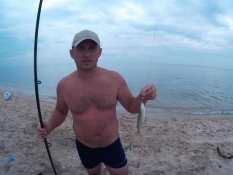 пеленгас ловля на азовском пеленгас ловля на азовском