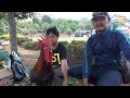 Download Kontes ayam pelung piala rektor unpad
