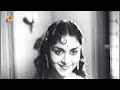 Udaykumar & Saroja Devi Movie Scene | Yaanai Paagan 1960 | IFB #tamilmoviescenes